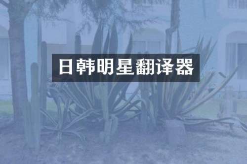日韩明星翻译器