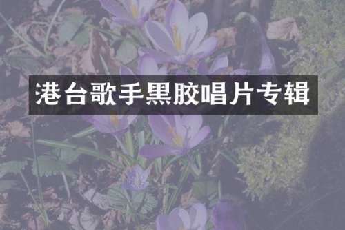 港台歌手黑胶唱片专辑