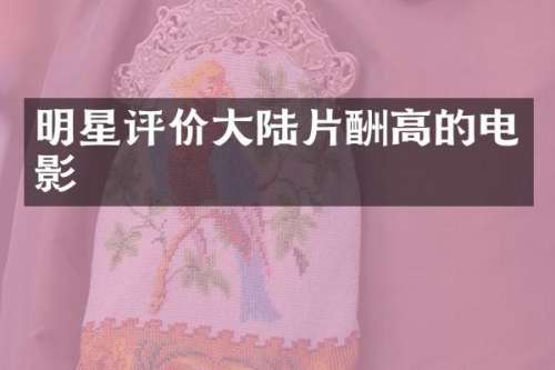 明星评价大陆片酬高的电影