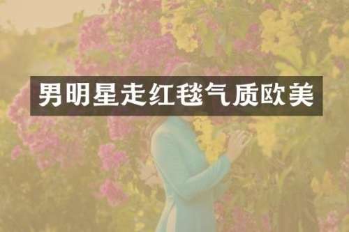男明星走红毯气质欧美