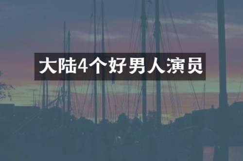 大陆4个好男人演员