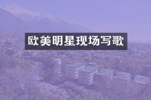 欧美明星现场写歌