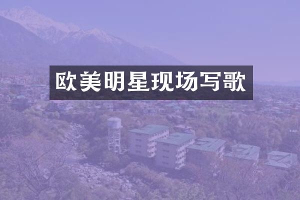 欧美明星现场写歌