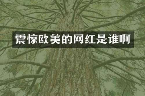 震惊欧美的网红是谁啊