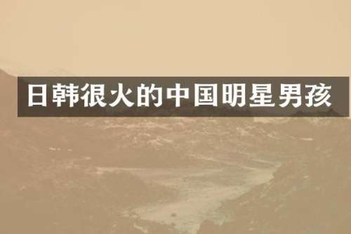 日韩很火的中国明星男孩