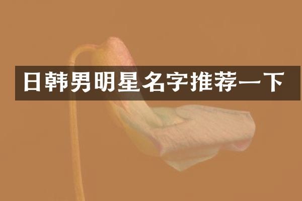 日韩男明星名字推荐一下