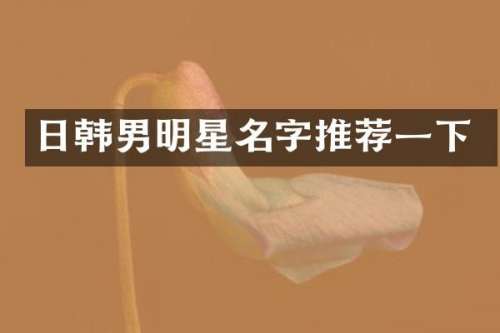 日韩男明星名字推荐一下