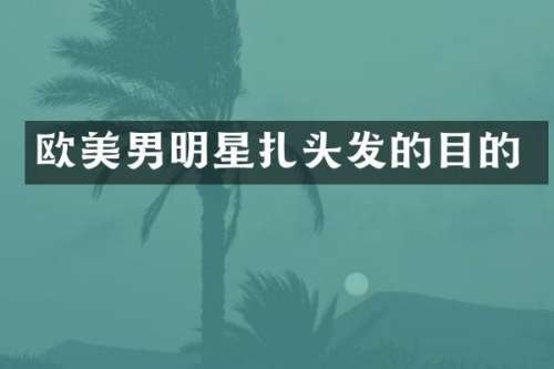 欧美男明星扎头发的目的
