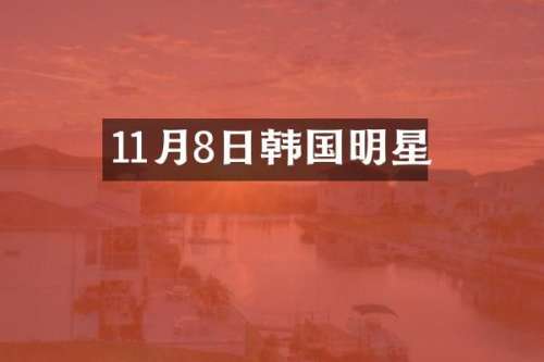 11月8日韩国明星