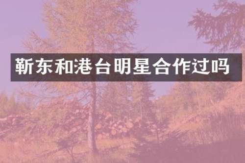 和港台明星合作过吗