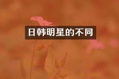 日韩明星的不同