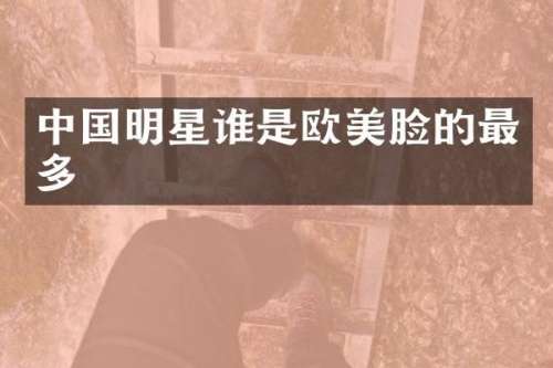 中国明星谁是欧美脸的最多