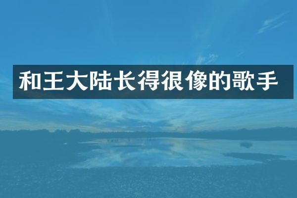 和王大陆长得很像的歌手