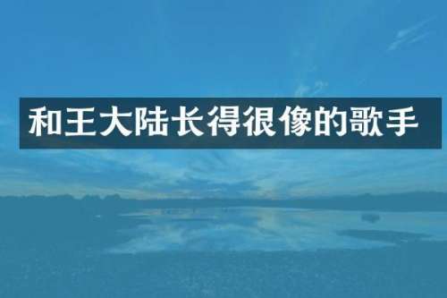 和王大陆长得很像的歌手