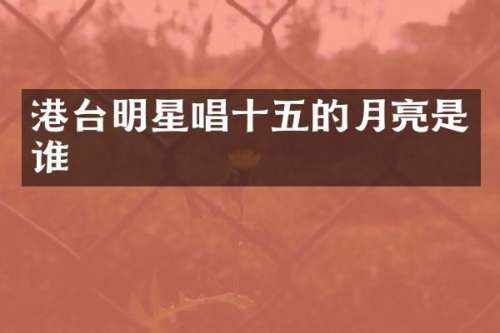港台明星唱十五的月亮是谁