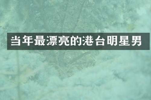 当年最漂亮的港台明星男
