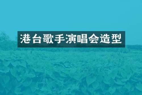 港台歌手演唱会造型