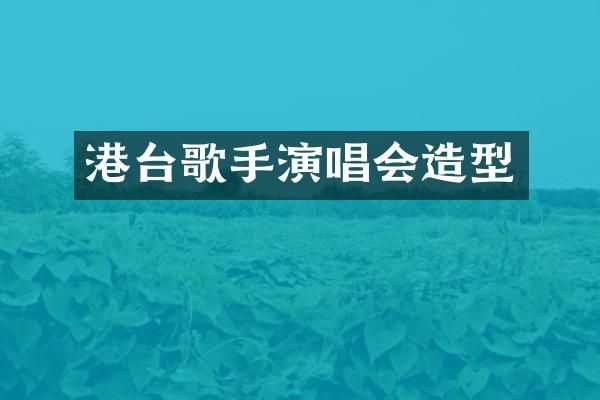 港台歌手演唱会造型