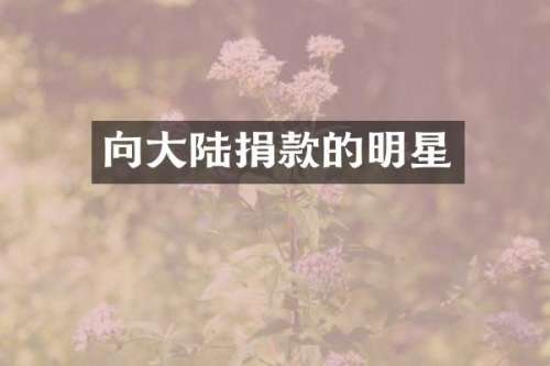 向大陆捐款的明星