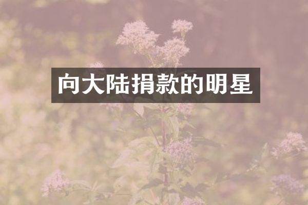 向大陆捐款的明星