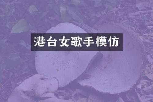 港台女歌手模仿