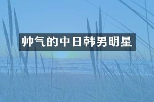 帅气的中日韩男明星