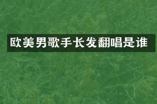 欧美男歌手长发翻唱是谁