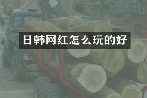 日韩网红怎么玩的好