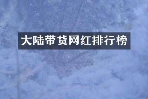 大陆带货网红排行榜