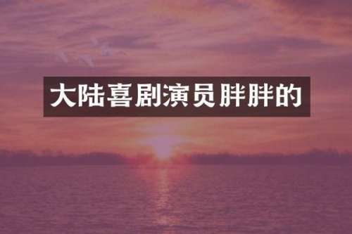 大陆喜剧演员胖胖的