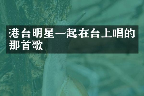 港台明星一起在台上唱的那首歌