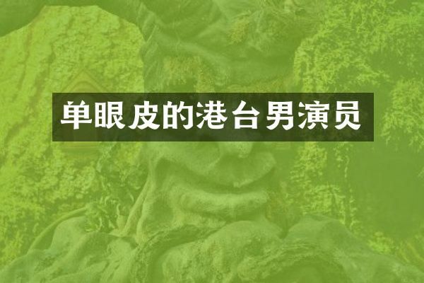 单眼皮的港台男演员