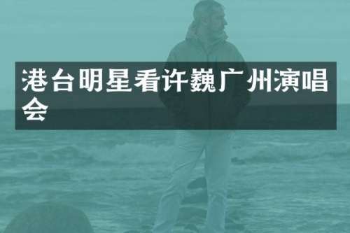 港台明星看许巍广州演唱会