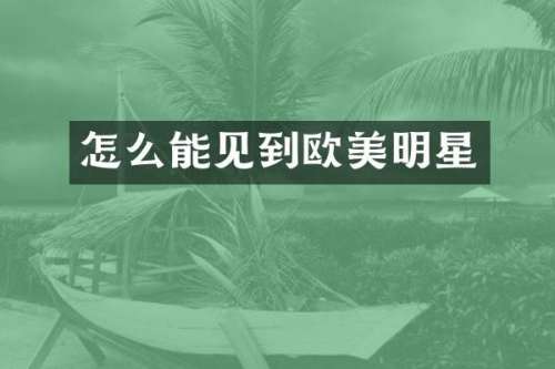 怎么能见到欧美明星