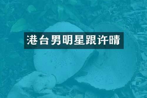 港台男明星跟许晴