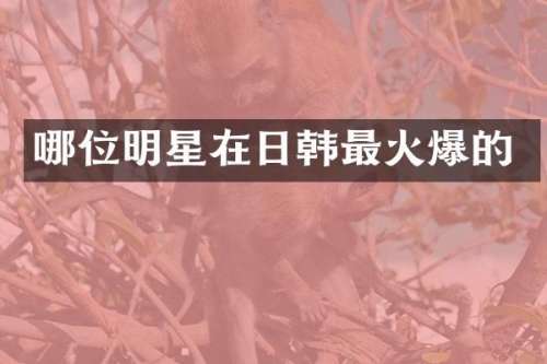 哪位明星在日韩最火爆的