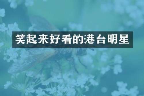 笑起来好看的港台明星