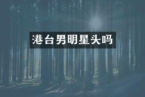 港台男明星头吗