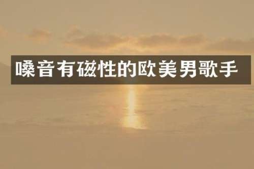 嗓音有磁性的欧美男歌手
