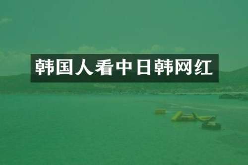 韩国人看中日韩网红