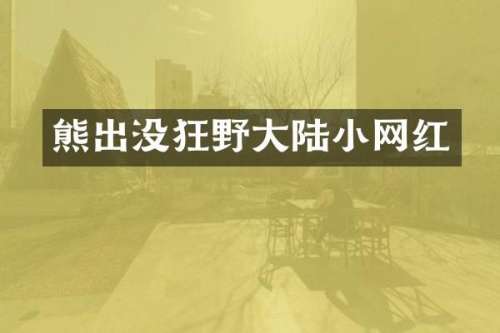 熊出没狂野大陆小网红