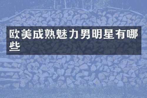 欧美成熟魅力男明星有哪些