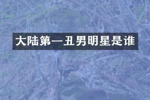 大陆第一丑男明星是谁
