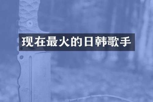现在最火的日韩歌手