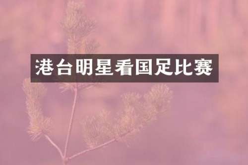 港台明星看国足比赛