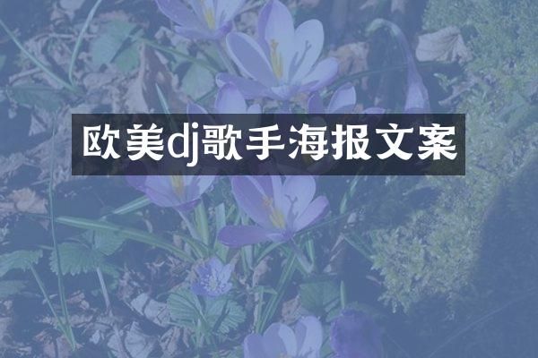 欧美dj歌手海报文案