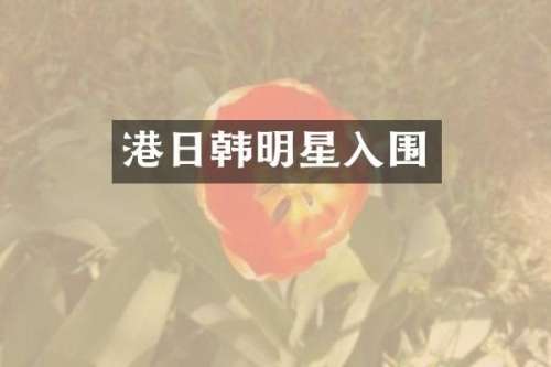 港日韩明星入围