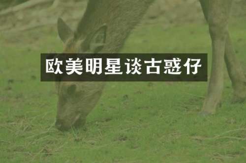 欧美明星谈古惑仔