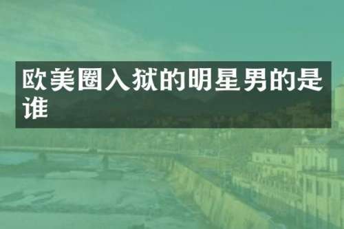 欧美圈入狱的明星男的是谁
