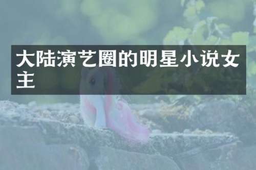 大陆演艺圈的明星小说女主